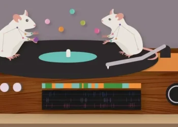 Штучний інтелект розпізнає та вчиться передбачати моделі поведінки на основі відео — ТЕХНОЛОГИИ