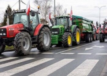 Чеські фермери приєднаються до скоординованого блокування кордонів – ЭКОНОМИКА