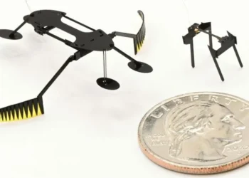 Вчені створили найменший у світі повністю функціональний мікроробот — ТЕХНОЛОГИИ