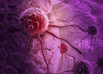 До 2050 року різко зросте кількість захворювань на рак у світі – дані ВООЗ – Экономика