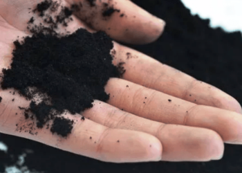 «Чудо-матеріал» графен підтверджено безпечним у новаторському дослідженні на людях — ТЕХНОЛОГИИ