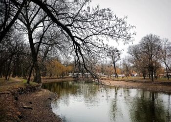 Яка погода очікується у Запоріжжі у четверг та п’ятницю — прогноз на 15, 16 лютого | Новости Запорожья