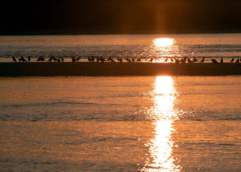 У Запоріжжі зафіксували черговий температурний рекорд — подробиці від синоптиків | Новости Запорожья