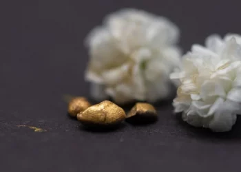 Новий метод перетворює електронні відходи на золото — ТЕХНОЛОГИИ