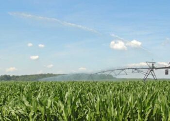 В Україні відновлюють зрошення – ЭКОНОМИКА