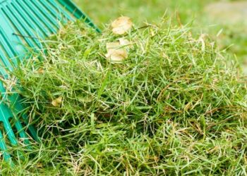 На Тернопільщині збудують завод із переробки вторинної сировини – ЭКОНОМИКА