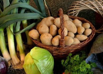 В Україні знову зросли ціни на картоплю – Экономика