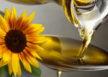 Експорт української соняшникової олії наблизився до рекорду – ЭКОНОМИКА