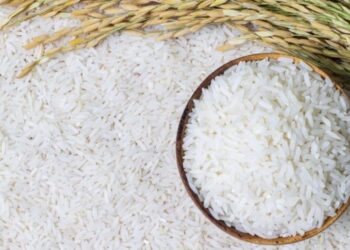 Ціни на рис сягнули 15-річного максимуму – ЭКОНОМИКА
