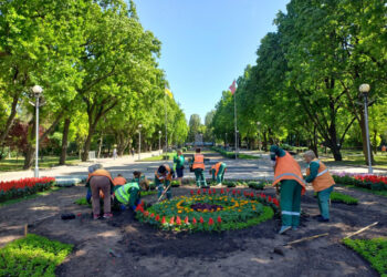 У Запоріжжі до Дня пам’яті та перемоги над нацизмом у Другій світовій війні на Алеї Бойвої Слави висадять 14 тисяч квітів | Новости Запорожья