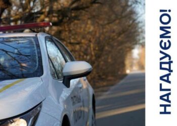 З 1 тварня в Україні відбудуться зміни у ПДР — чого чекати водіям | Новости Запорожья