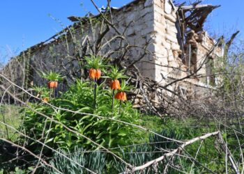 Повернутися попри все. Як живе зруйнована Білогірка — Херсон