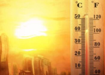 У Запорізькій області через небезпечну хворобу померла людина — деталі | Новости Запорожья