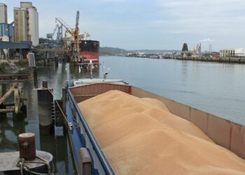 Семимісячний показник роботи морпортів майже зрівнявся із результатом усього минулого року – Экономика