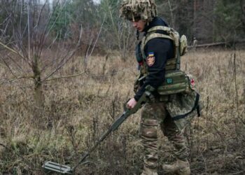 Вибухонебезпечні предмети можна утилізовувати на місці розмінування, продукти переробки використовувати для Сил оборони, – КМУ – Экономика