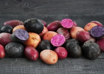 В Україні прогнозують дефіцит насіннєвої картоплі – ЭКОНОМИКА