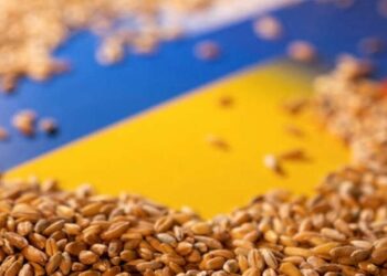 Британія допоможе Україні відстежувати вкрадене зерно – ЭКОНОМИКА