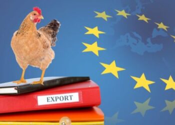 Мінагрополітики розподілило квоти на експорт м’яса птиці до ЄС – ЭКОНОМИКА