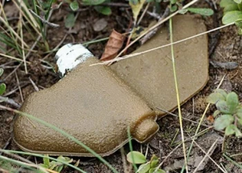 Чоловік підірвався на російській міні у Антонівці Херсонської громади