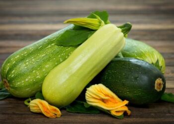 На Київщині знищили вантаж небезпечних кабачків з Туреччини – ЭКОНОМИКА