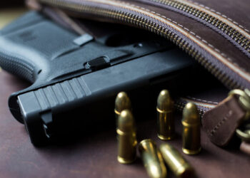 Українці зможуть отримувати дозвіл на зброю у «Дії» без зайвих документів – Экономика