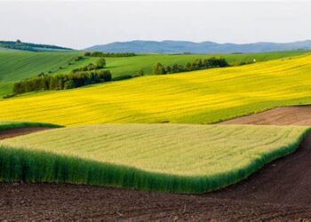 Кількість користувачів Державного аграрного реєстру перевищила 200 тис – ЭКОНОМИКА