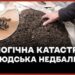 На Київщині зафіксували масову загибель бджіл – ЭКОНОМИКА