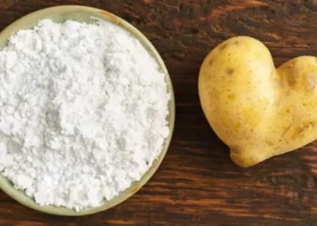 На Чернігівщині поновлюють вирощування висококрохмальної картоплі – ЭКОНОМИКА