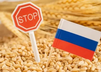 Російська пшениця втратила конкурентість на світовому ринку – ЭКОНОМИКА