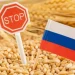 Російська пшениця втратила конкурентість на світовому ринку – ЭКОНОМИКА