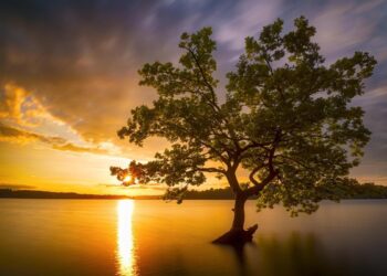 Прогноз погоди на 30 червня та 1 і 2 липня у Запоріжжі — чого очікувати містянам  | Новости Запорожья