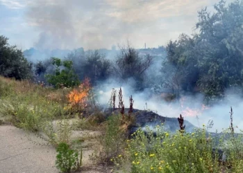 Росіяни обстріляли за добу 34 населені пункти Херсонщини: є поранені та загиблі