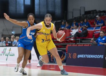 Україна програла Ісландії на чемпіонаті Європи U-18 — Федерація баскетболу України