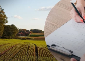 Озвучено особливості процедури приватизації земельних ділянок у 2025 р – ЭКОНОМИКА