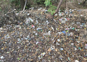 У Хортицькому районі держекоінспекція зафіксувала незаконне сміттєзвалище | Новости Запорожья