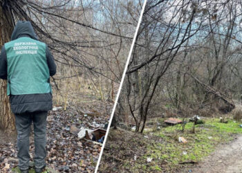 У Запоріжжі екологи виявили стихійне звалище біля парку Райдуга — навести лад мають до 12 лютого | Новости Запорожья