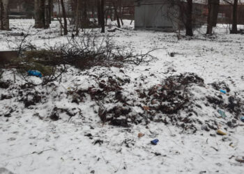 У Вознесенівському районі Запоріжжя екоінспекція виявила стихійне звалище біля будинку | Новости Запорожья