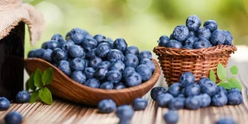 Українські виробники лохини посилюють вихід на преміальні ринки ЄС – ЭКОНОМИКА