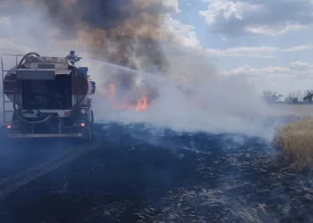 У Мінекономіки розробляють механізм компенсації за знищений урожай через бойові дії