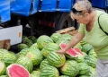 На ярмарках Києва продають кавуни з Херсонщини
