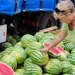 На ярмарках Києва продають кавуни з Херсонщини